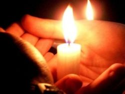 своє співчуття рідним і близьким загиблих у збитому терористами літаку висловили Єпископи УГКЦ